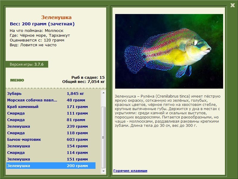 турниры • РУССКАЯ РЫБАЛКА