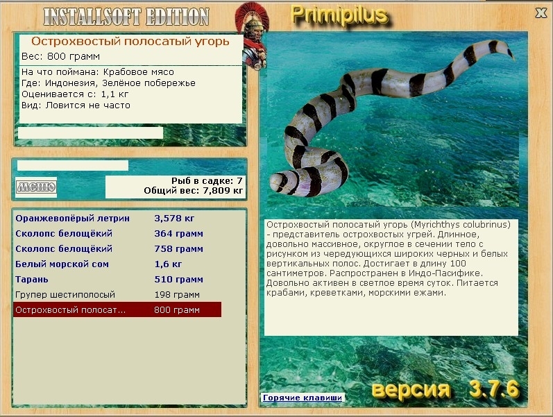 турниры • РУССКАЯ РЫБАЛКА