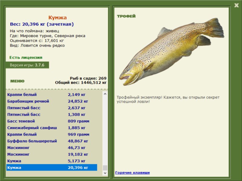 Cеверная река 