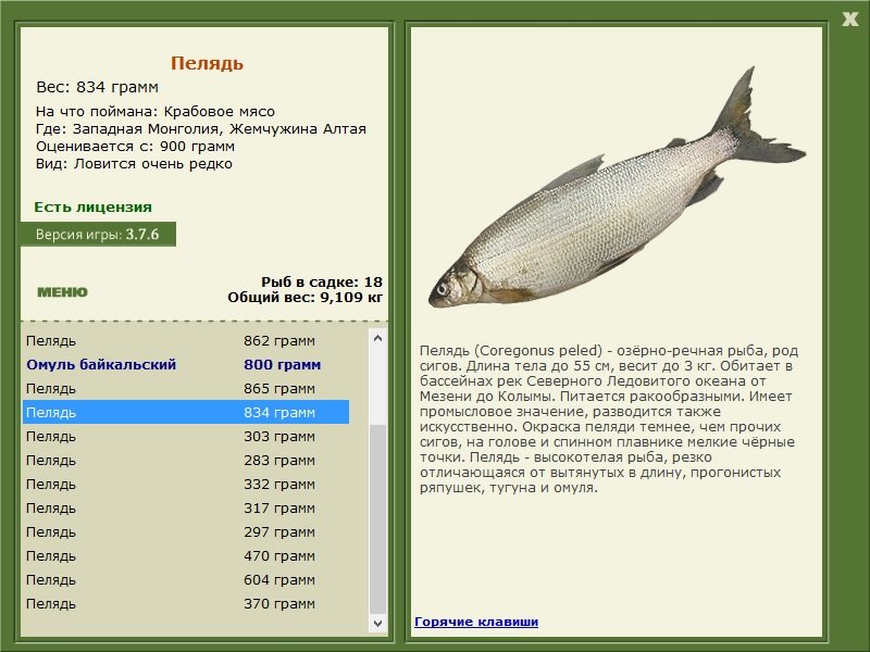 турниры • РУССКАЯ РЫБАЛКА