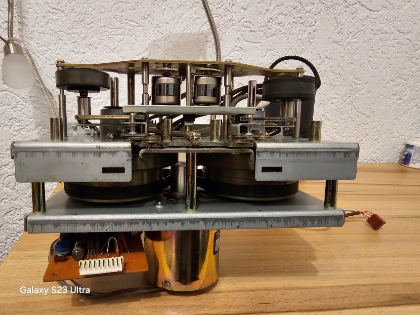  кастрация\обрезание \ первоклашки...