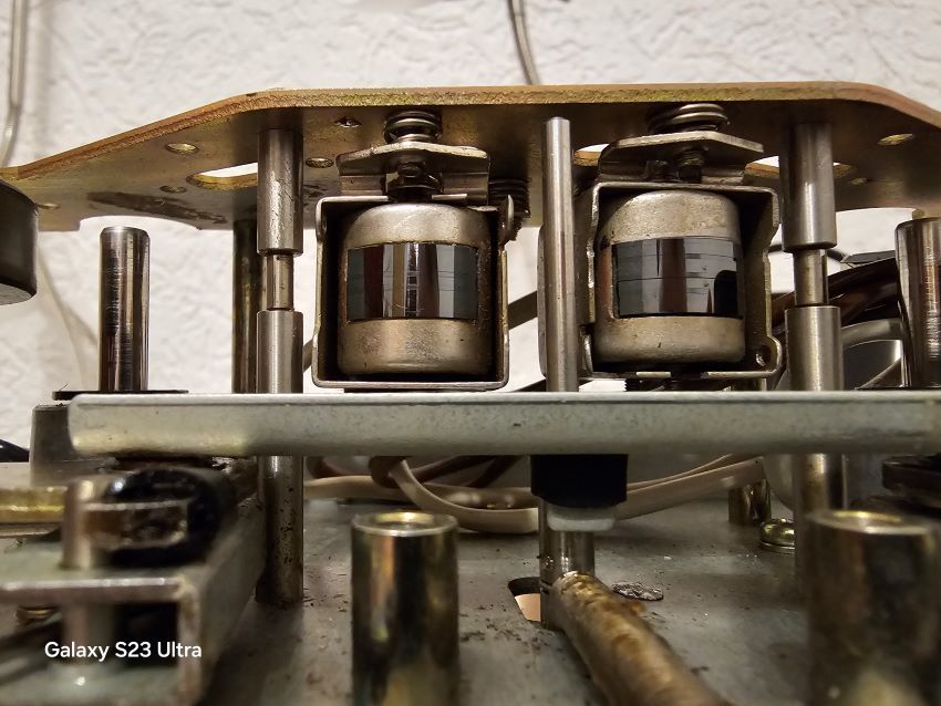  кастрация\обрезание \ первоклашки...