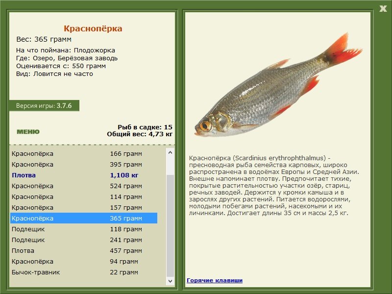 РУССКАЯ РЫБАЛКА Installsoft Edition 
