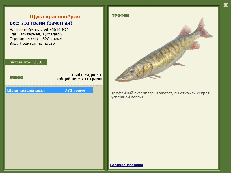 Щука краснопёрая 