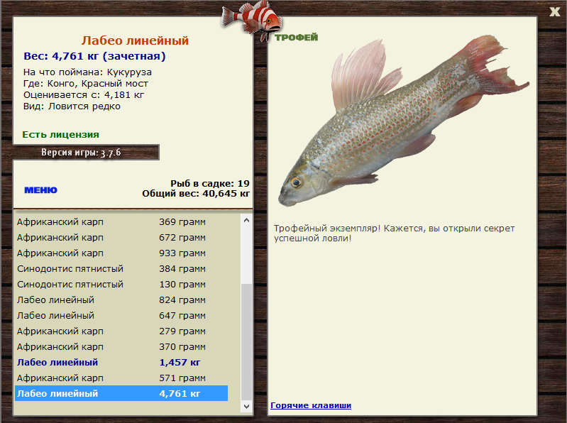 Красный мост 