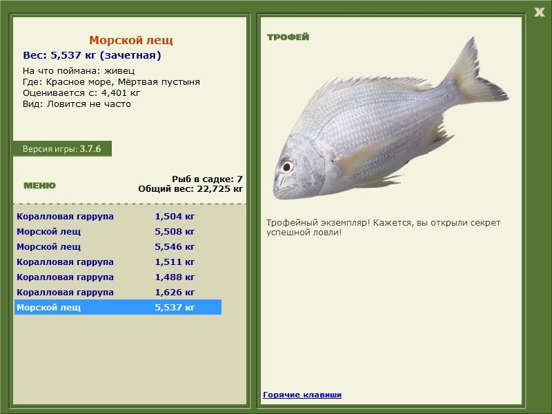 Морской лещ 