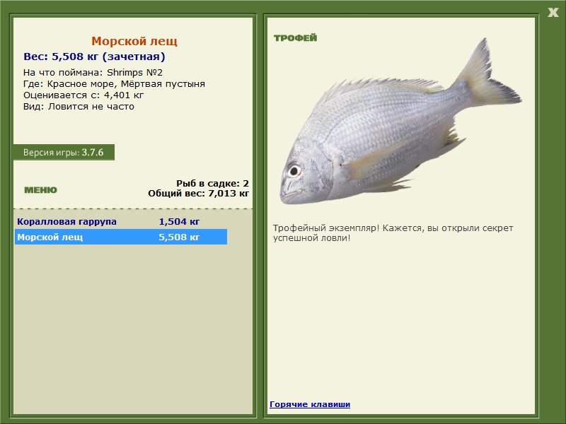 Морской лещ 