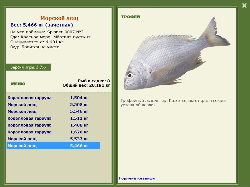 Морской лещ 