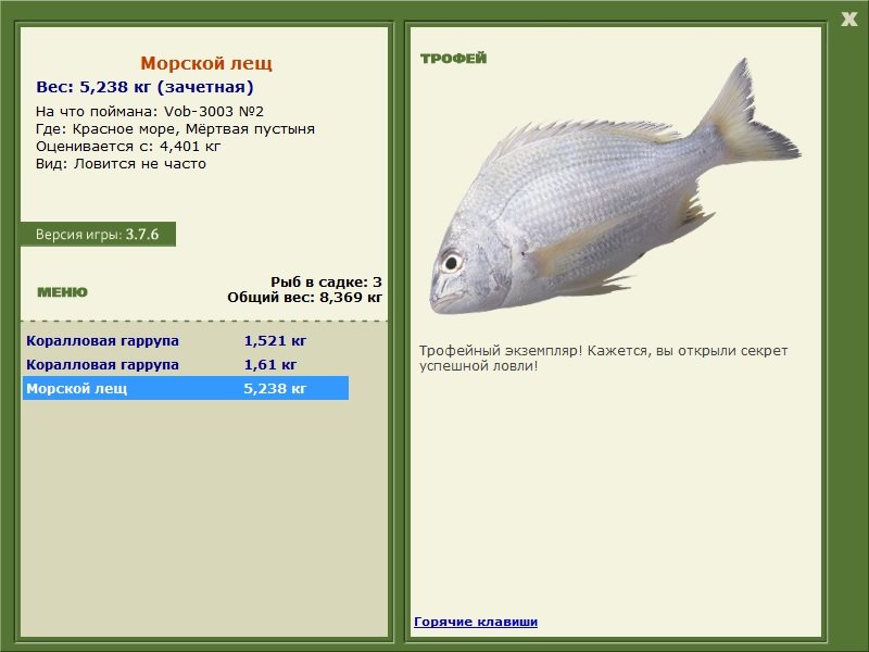 Морской лещ 