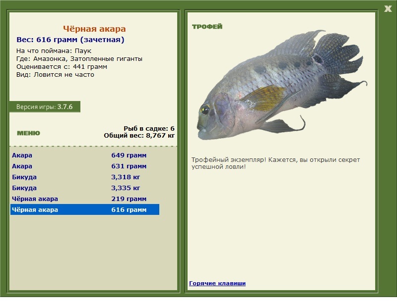 Чёрная акара 