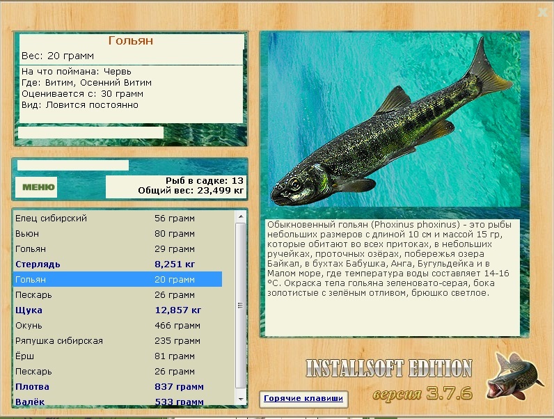 турниры • РУССКАЯ РЫБАЛКА