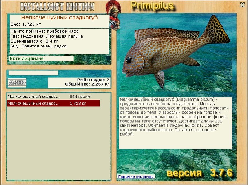 турниры • РУССКАЯ РЫБАЛКА