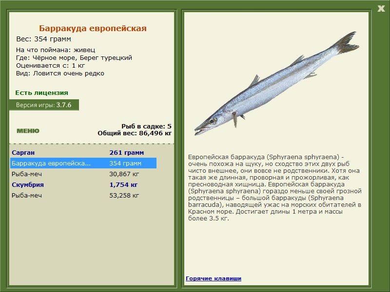 турниры • РУССКАЯ РЫБАЛКА