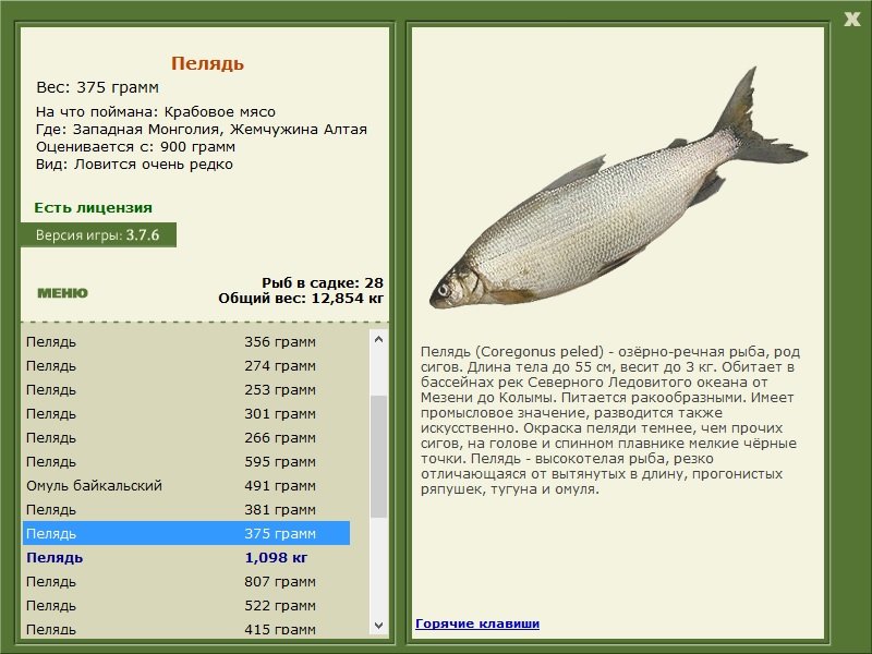 турниры • РУССКАЯ РЫБАЛКА