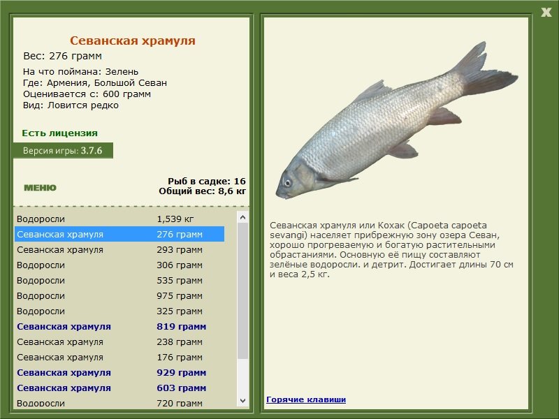 турниры • РУССКАЯ РЫБАЛКА