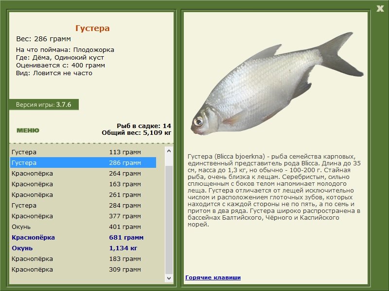 турниры • РУССКАЯ РЫБАЛКА