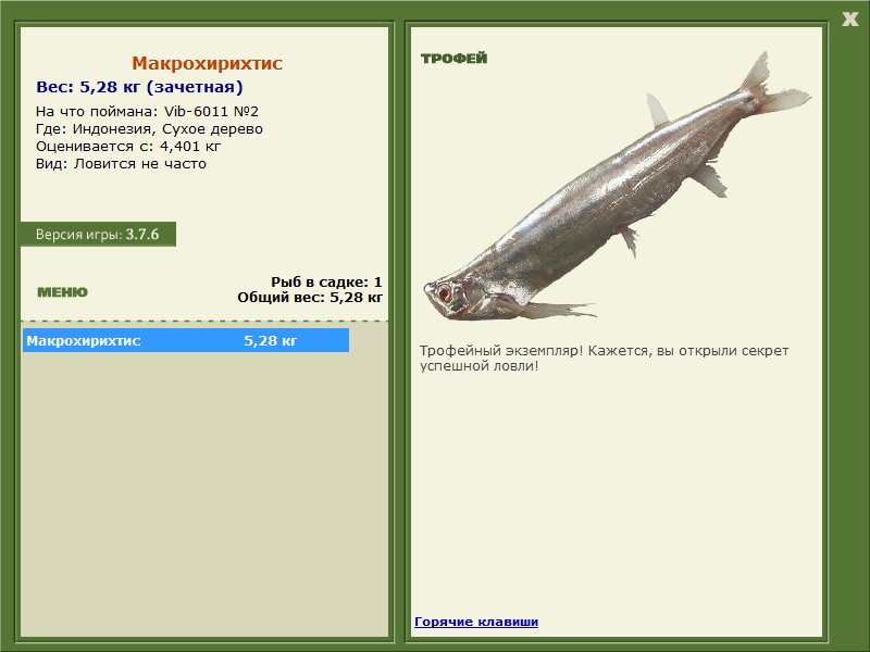 Макрохирихтис 