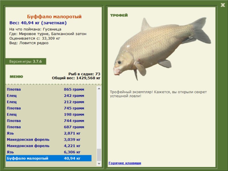 Буффало малоротый 