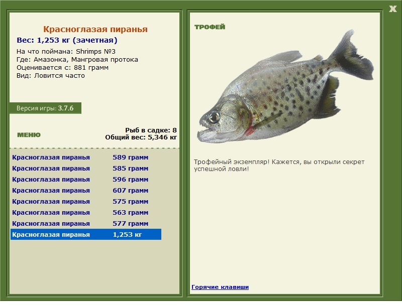 Shrimps 