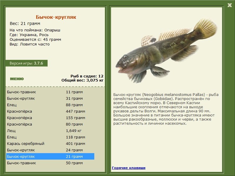 РУССКАЯ РЫБАЛКА Installsoft Edition 