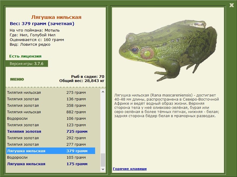 турниры • РУССКАЯ РЫБАЛКА