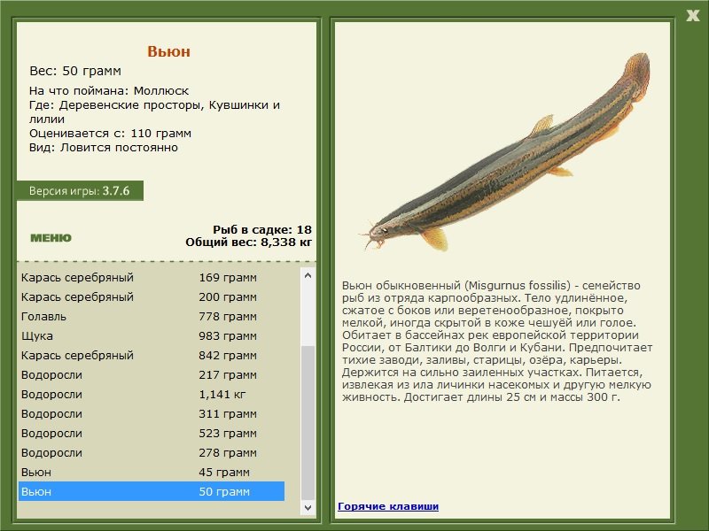 турниры • РУССКАЯ РЫБАЛКА