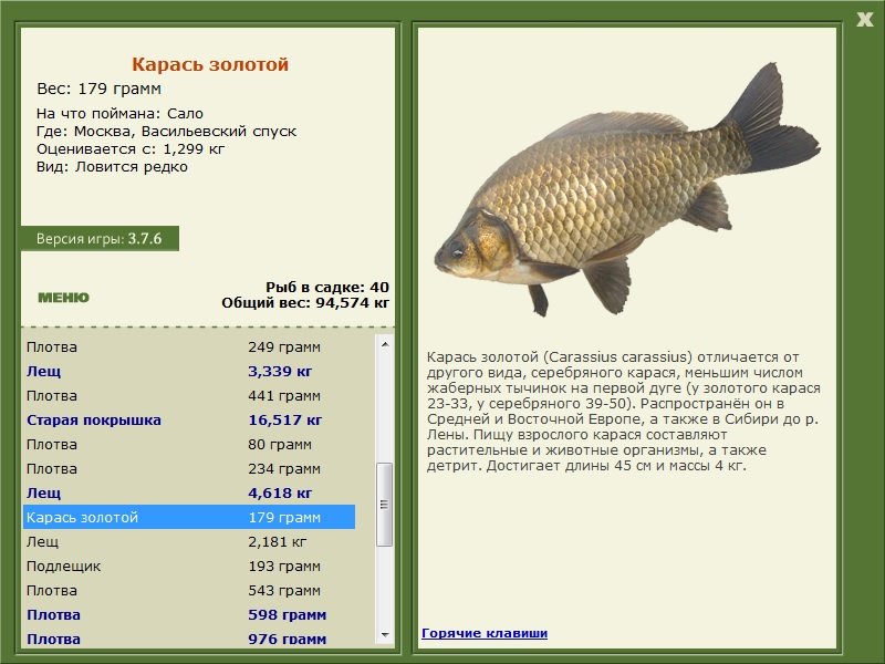 турниры • РУССКАЯ РЫБАЛКА