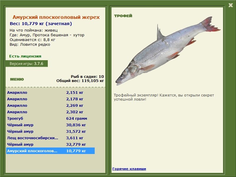  хутор • Амур • РУССКАЯ РЫБАЛКА