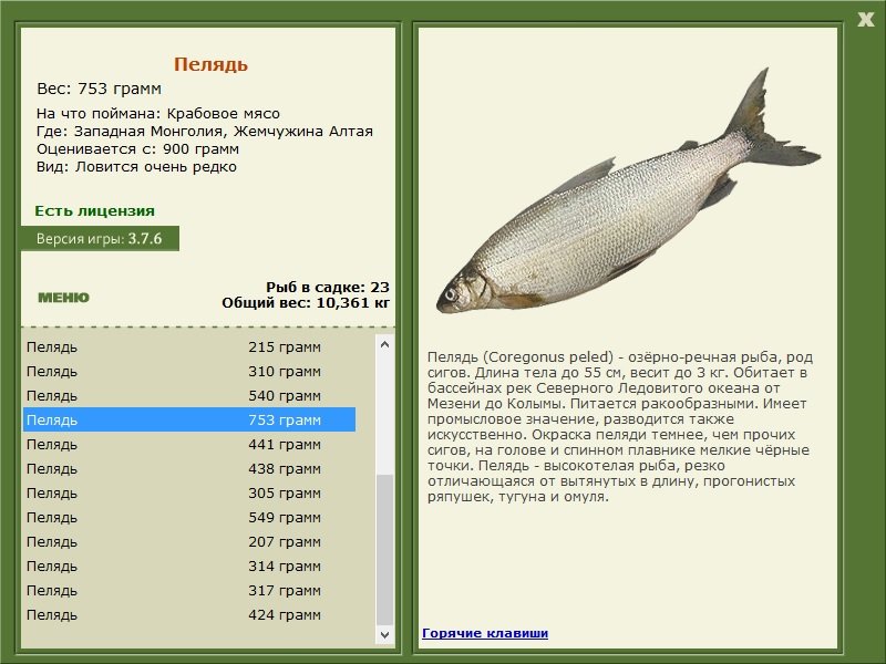 турниры • РУССКАЯ РЫБАЛКА