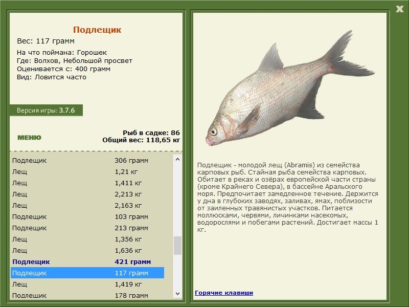 турниры • РУССКАЯ РЫБАЛКА