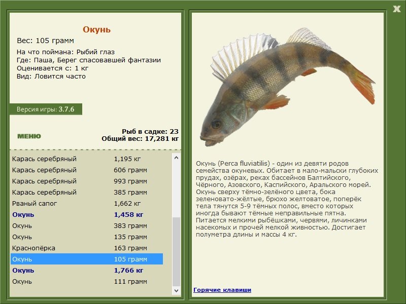 турниры • РУССКАЯ РЫБАЛКА