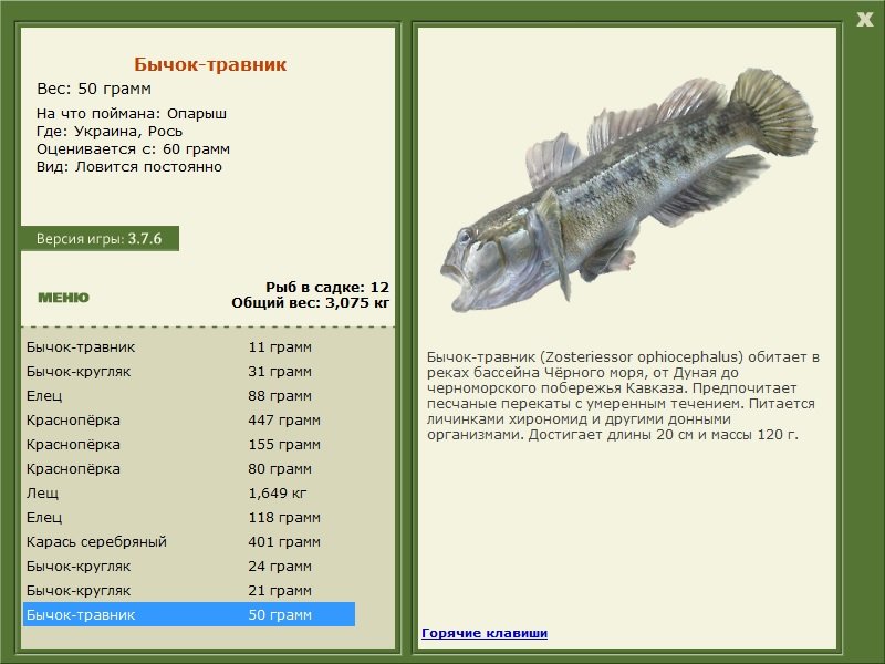 РУССКАЯ РЫБАЛКА Installsoft Edition 