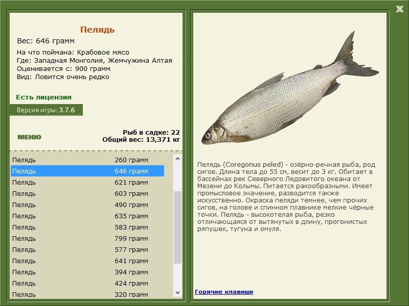 турниры • РУССКАЯ РЫБАЛКА