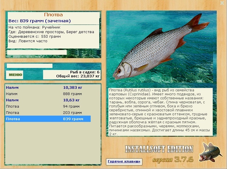 турниры • РУССКАЯ РЫБАЛКА