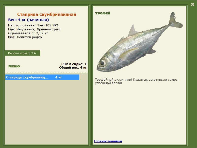 Ставрида скумбриевидная 