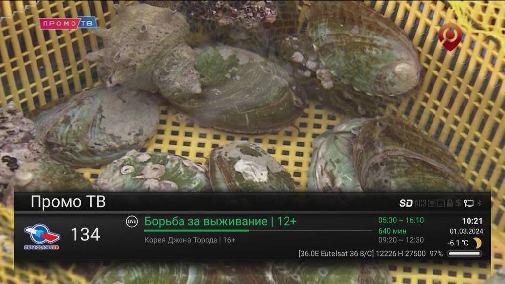  Просмотр темы - Eutelsat 36B/36C (Express-AMU1) @ 36.0° East