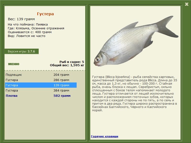 турниры • РУССКАЯ РЫБАЛКА
