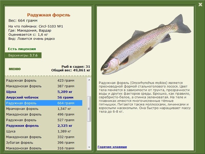 турниры • РУССКАЯ РЫБАЛКА