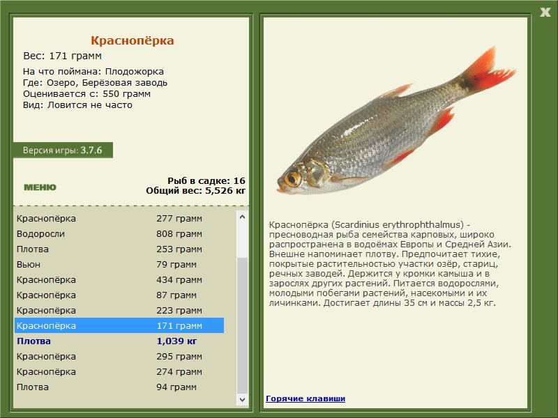 РУССКАЯ РЫБАЛКА Installsoft Edition 