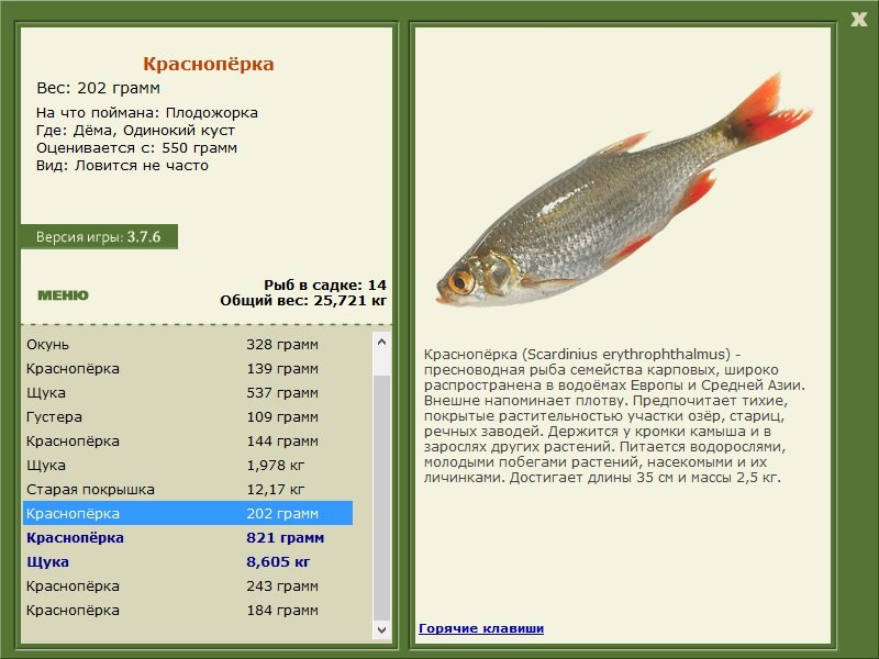 РУССКАЯ РЫБАЛКА Installsoft Edition 