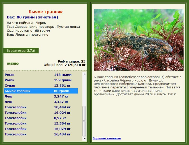 Деревенские просторы 
