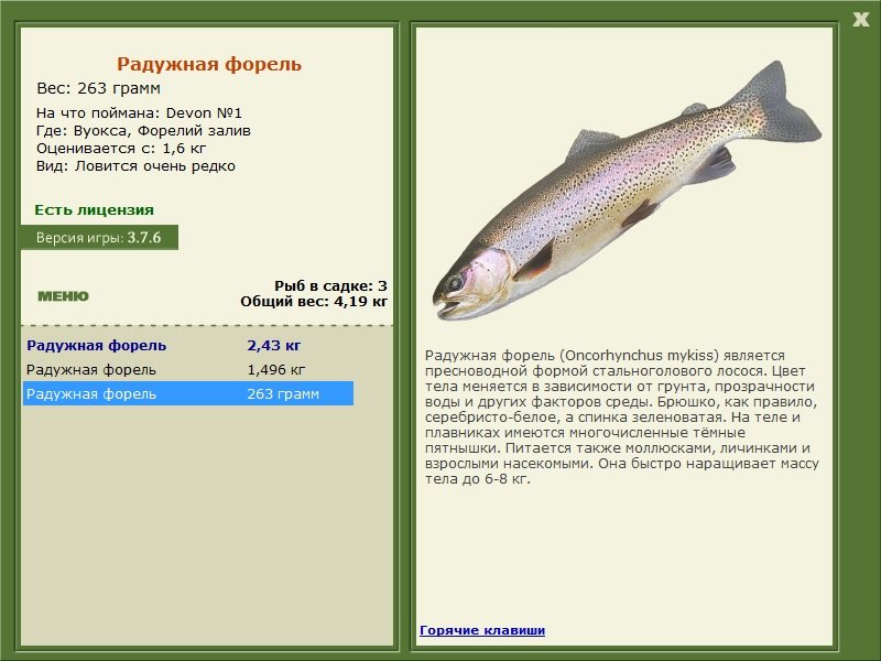 турниры • РУССКАЯ РЫБАЛКА