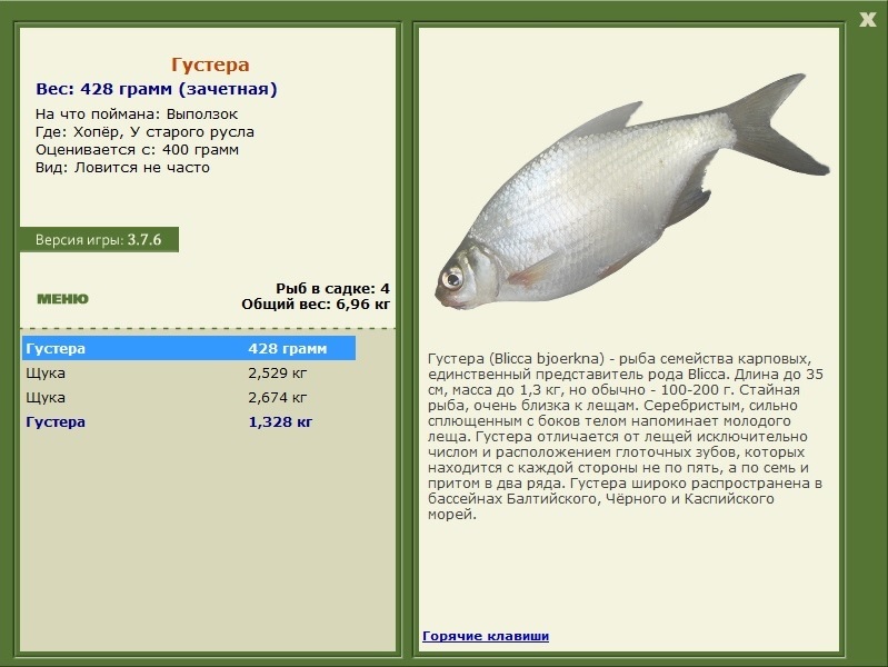 турниры • РУССКАЯ РЫБАЛКА