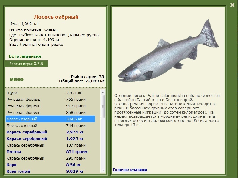 Рыбхоз Константиново 