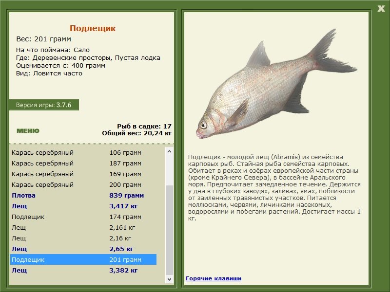 турниры • РУССКАЯ РЫБАЛКА