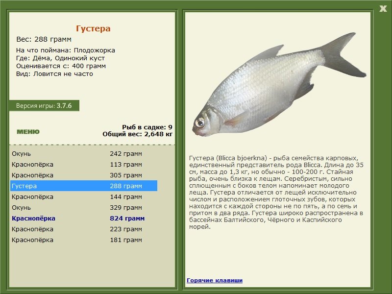 РУССКАЯ РЫБАЛКА Installsoft Edition 