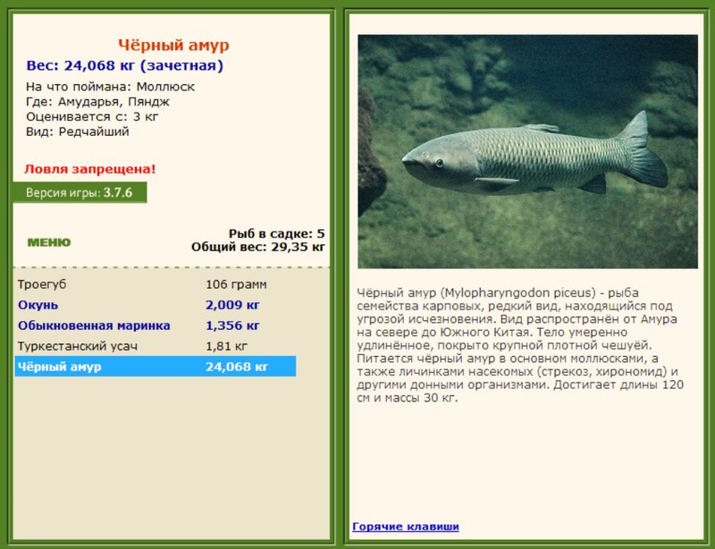 Пяндж 