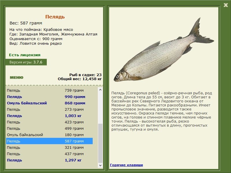 турниры • РУССКАЯ РЫБАЛКА