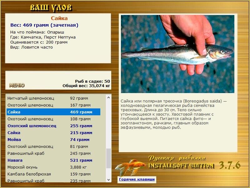 РУССКАЯ РЫБАЛКА Installsoft Edition 