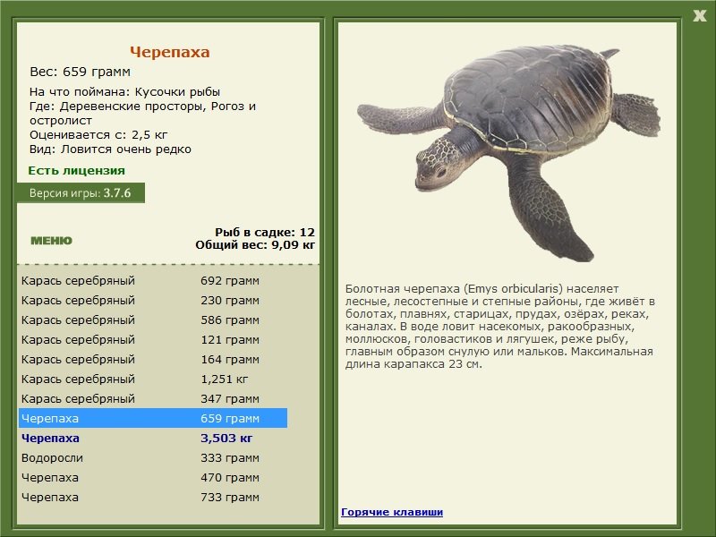 турниры • РУССКАЯ РЫБАЛКА
